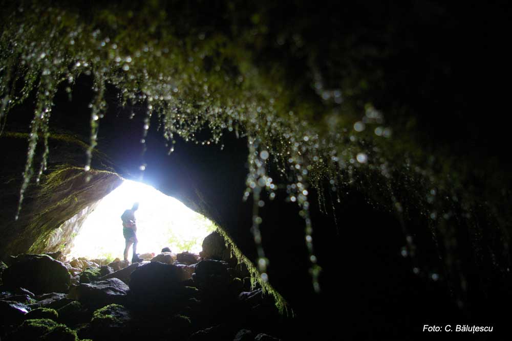 Pestera Tolosu - Foto: C.Balutescu